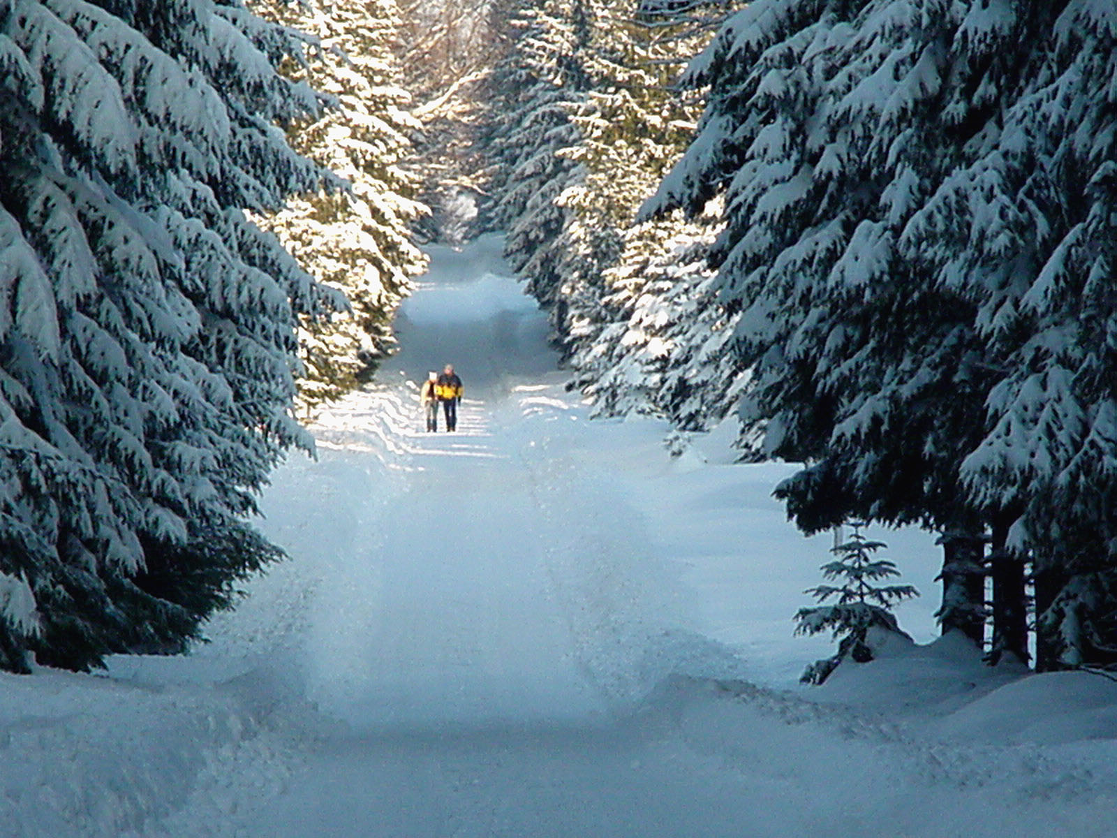 Skigebiet Rübenau Skigebiet