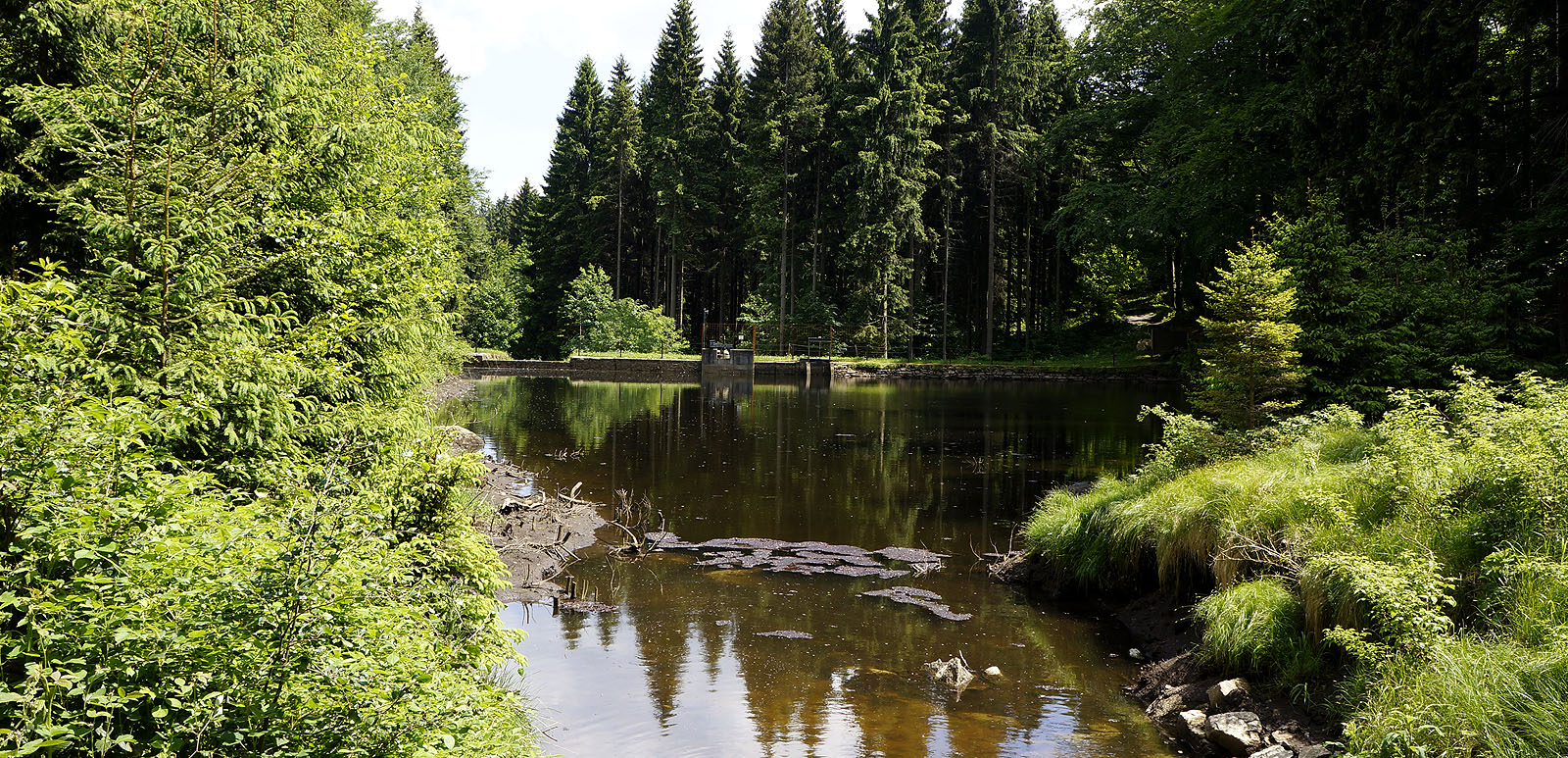 am Rungstockbach am Rungstockbach