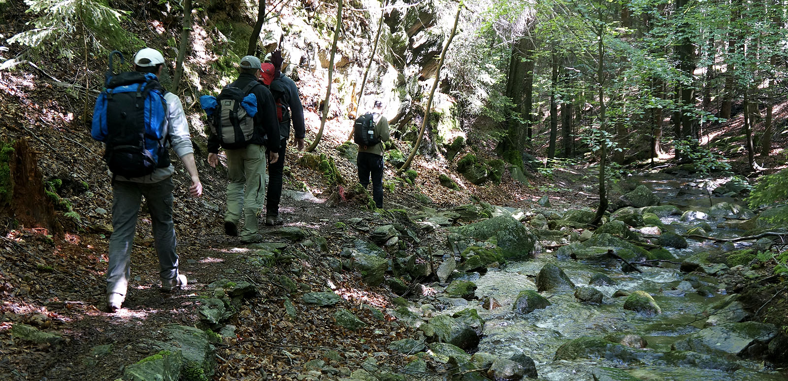 Wanderung im Rungstocktal Wanderung im Rungstocktal